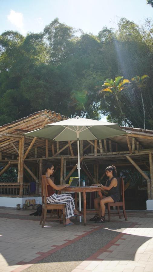 Finca La Argelia Quimbaya Esterno foto