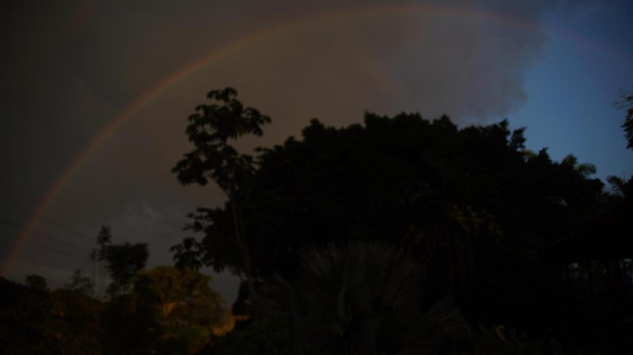 Finca La Argelia Quimbaya Esterno foto