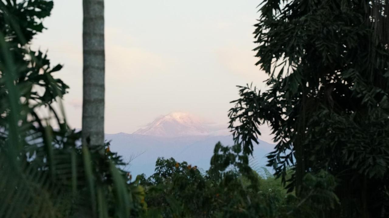 Finca La Argelia Quimbaya Esterno foto
