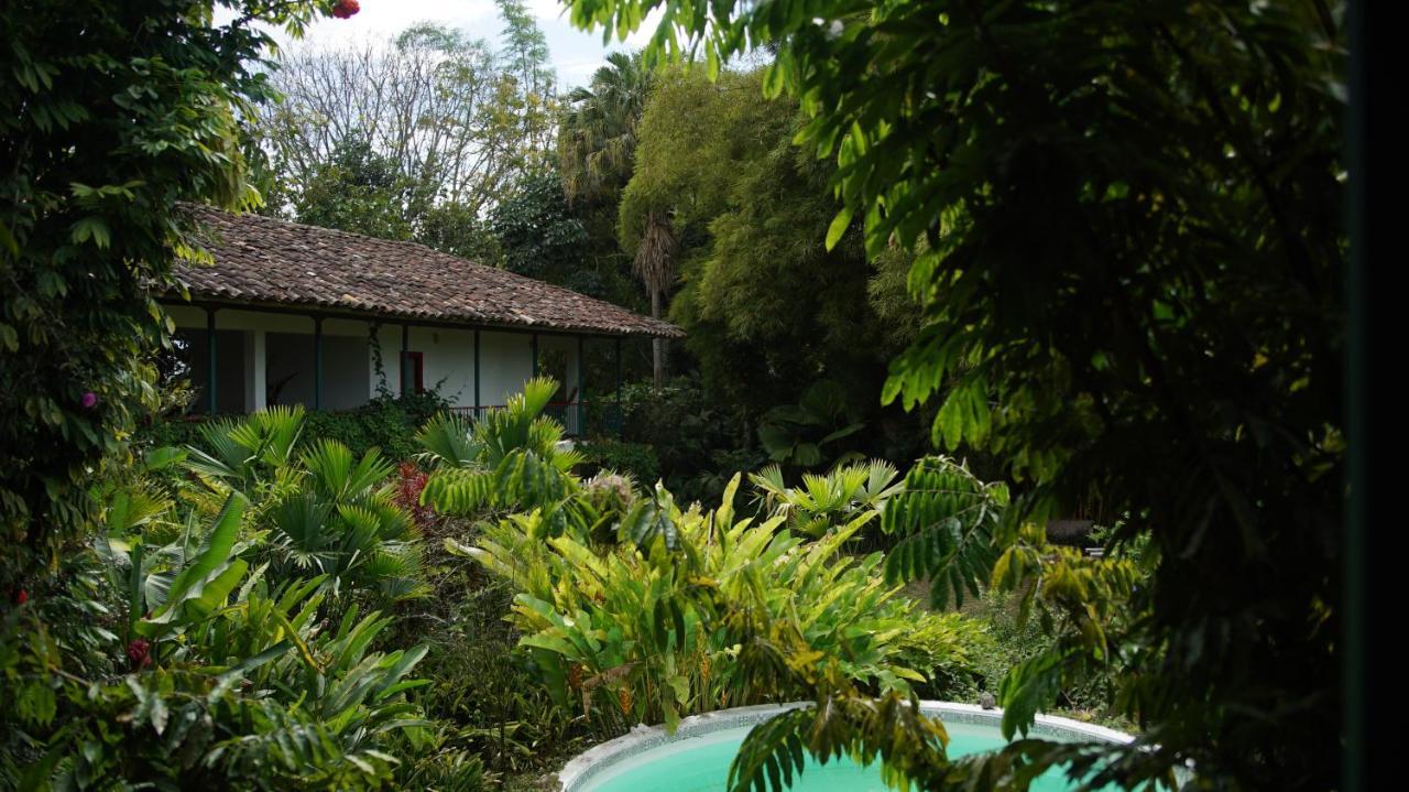 Finca La Argelia Quimbaya Esterno foto