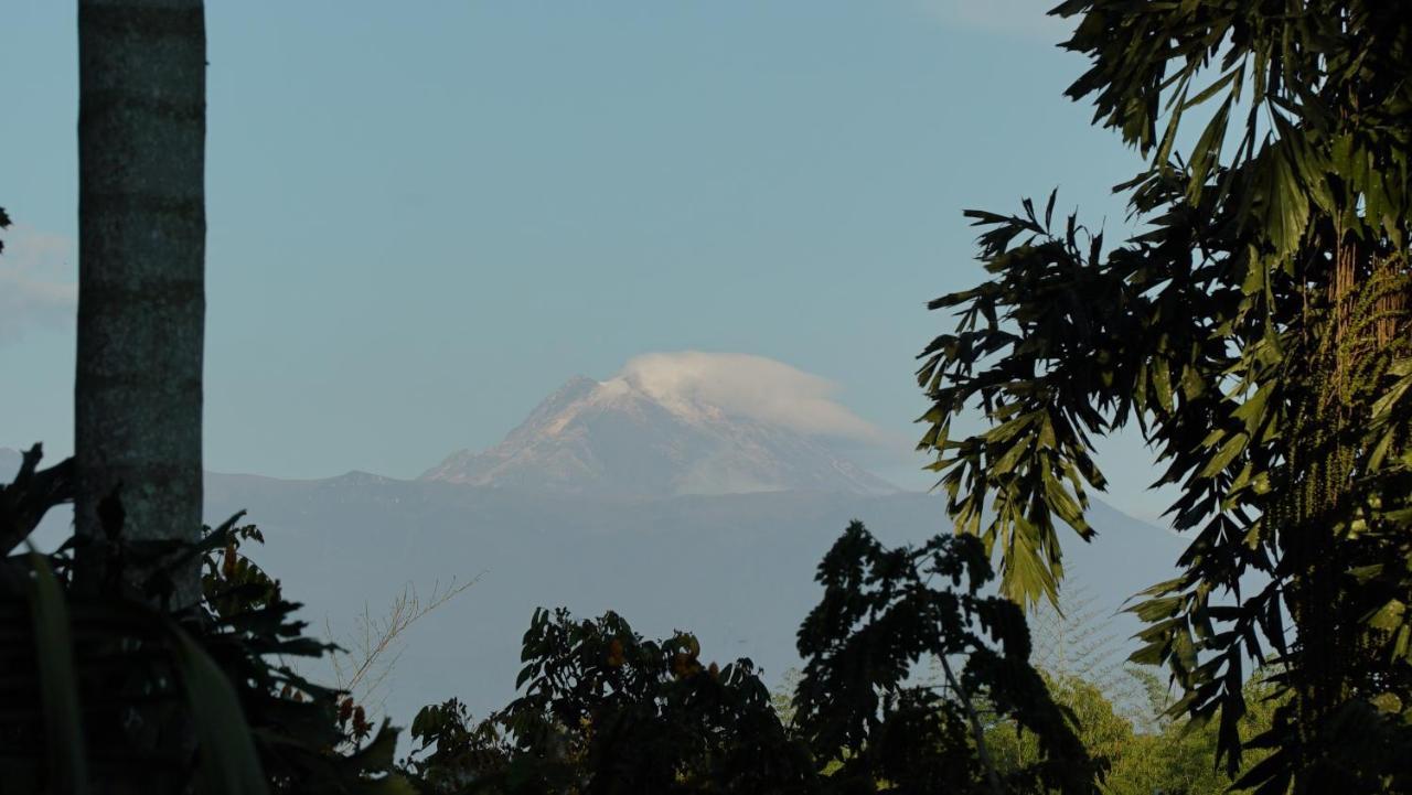 Finca La Argelia Quimbaya Esterno foto